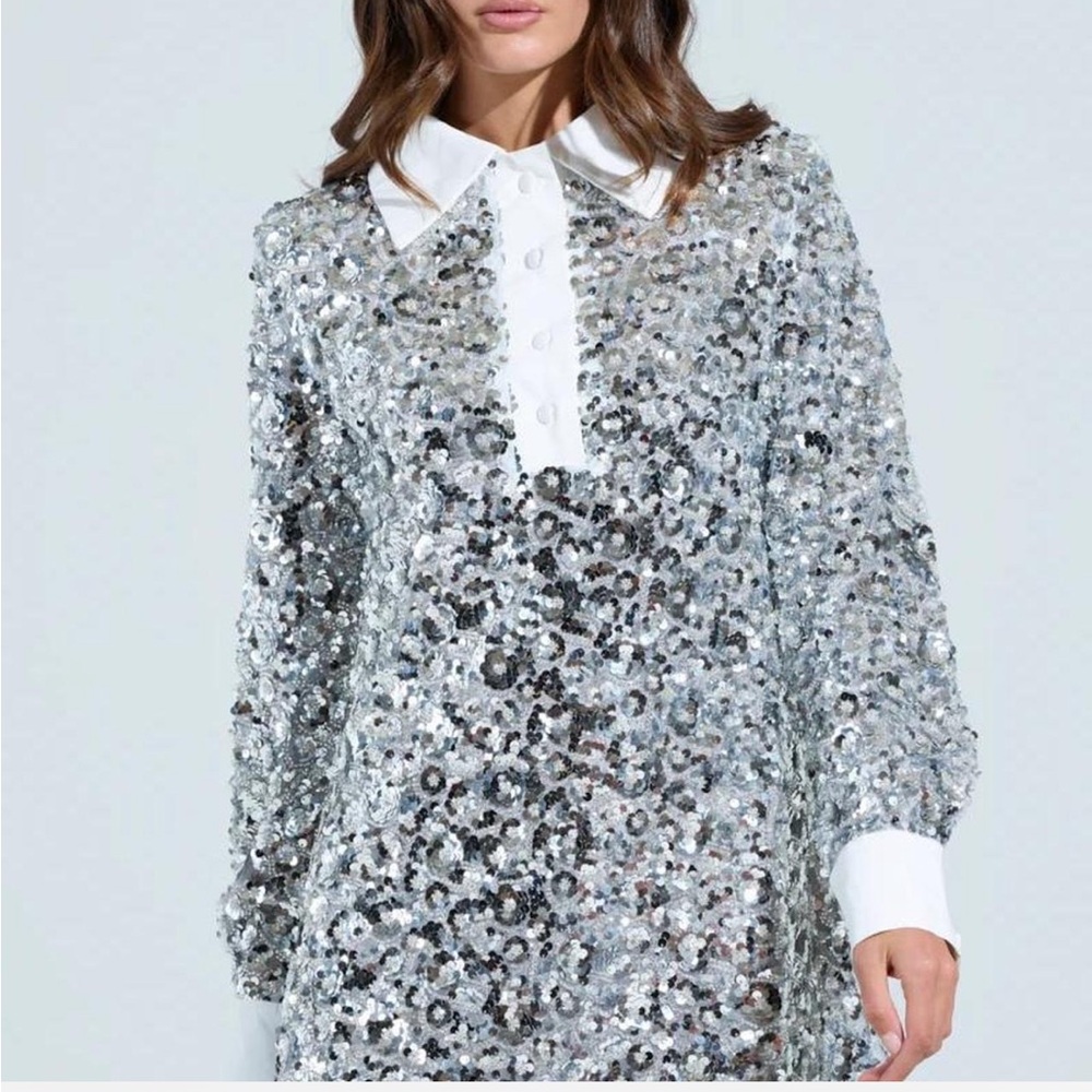 AKIRA Silver Sequin Long Sleeve Dress